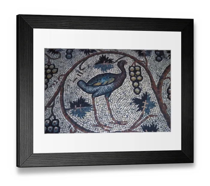 Framed Print : Middle East / Israel Archaeology - Mosaics on the floor of convent of St. Polyeucte, Jerusalem Framed Print : Middle East / Israel Archaeology - Mosaics on the floor of convent of St. Polyeucte, Jerusalem