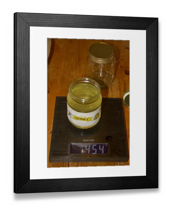 Framed Print : A jar of English honey should weigh 454 grams. This is the first pot of the season and is from oil seed rape flowers