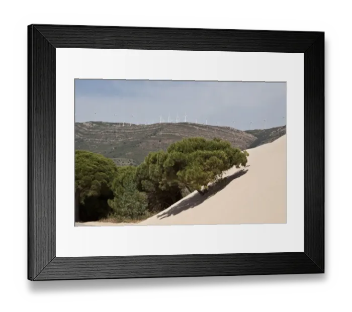 Framed Print : Stone pine trees are engulfed by the moving sand dunes of Andalusia, Spain. Note the wind turbines on the hills Framed Print : Stone pine trees are engulfed by the moving sand dunes of Andalusia, Spain. Note the wind turbines on the hills