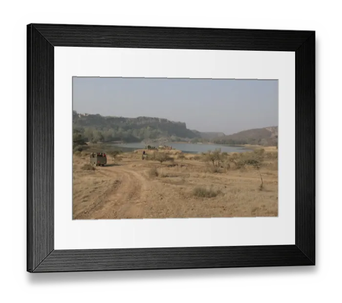 Framed Print : View of tourist vehicles at edge of lake habitat, Ranthambore N. P. Rajasthan, India, january Framed Print : View of tourist vehicles at edge of lake habitat, Ranthambore N. P. Rajasthan, India, january