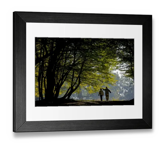 Framed Print : Walkers on track in old mixed Common Beech (Fagus sylvatica) and European Hornbeam (Carpinus betulus) forest