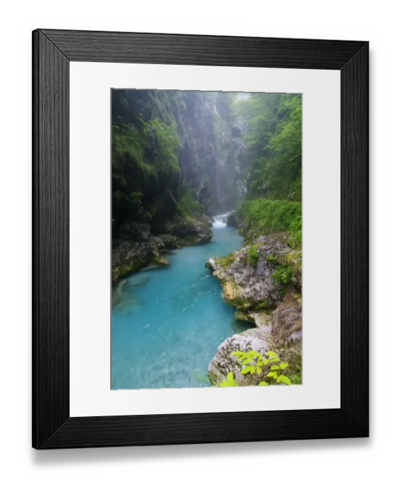 Framed Print : View of river gorge habitat with pristine water and high humidity levels, Tolminka River Gorge, Tolminka River Framed Print : View of river gorge habitat with pristine water and high humidity levels, Tolminka River Gorge, Tolminka River