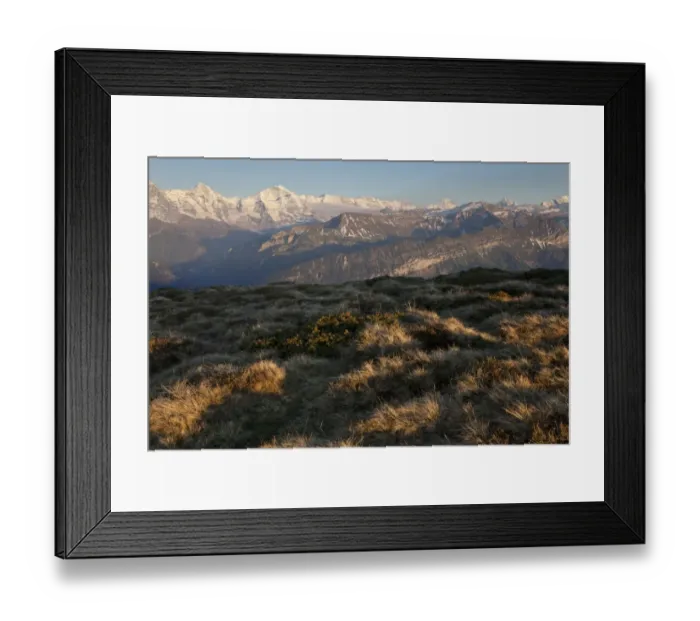 Framed Print : View of alpine habitat with snow covered mountain peaks, Eiger, Moench and Jungfrau in distance, Swiss Alps Framed Print : View of alpine habitat with snow covered mountain peaks, Eiger, Moench and Jungfrau in distance, Swiss Alps