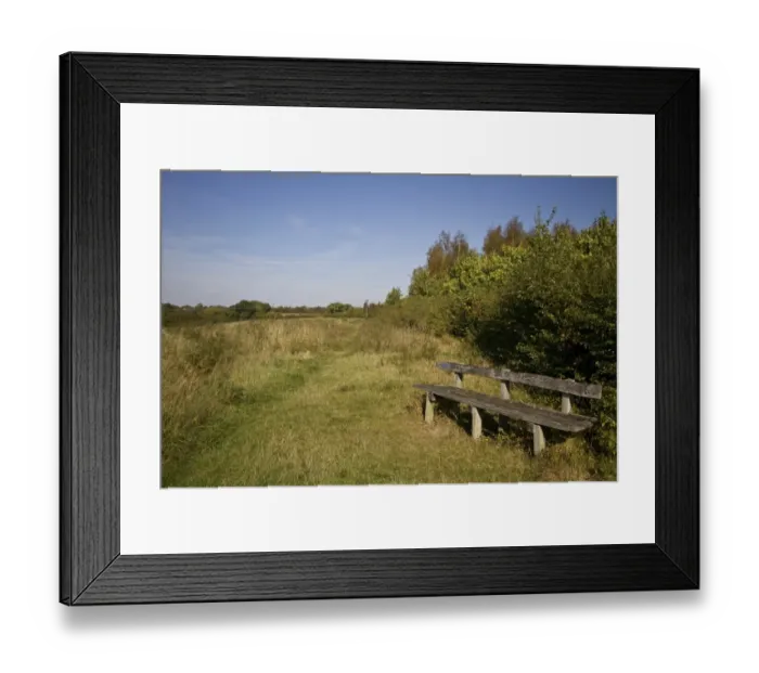 Framed Print : Pound farm is 148 areas of woodland and meadow that was planted with a mix of native british trees in 1992