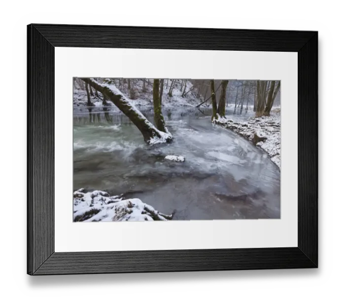Framed Print : Trees standing in icy river, River Kyll, near Speicher, Rhineland-Palatinate, Germany, january