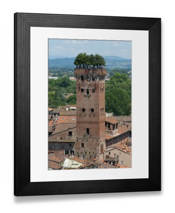 Framed Print : City tower with hanging garden on roof, Torre Guinigi, Lucca, Tuscany, Italy, june Framed Print : City tower with hanging garden on roof, Torre Guinigi, Lucca, Tuscany, Italy, june