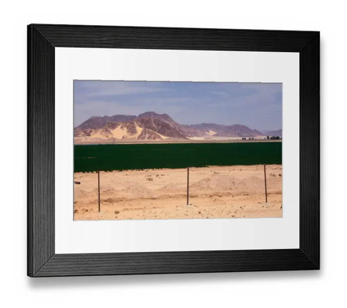 Framed Print : Middle East-Jordan Turning the desert green through irrigation from underground water nr. Quweira & Wadi Rum