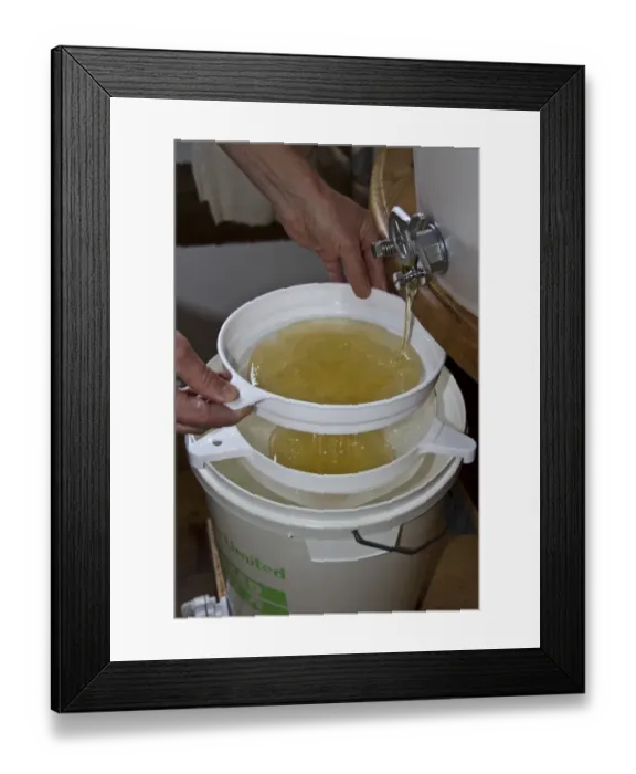 Framed Print : After the honey has been spun from the comb its filtered through two filters into the storage drum Framed Print : After the honey has been spun from the comb its filtered through two filters into the storage drum