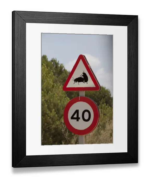 Framed Print : Road sign of two mating dung beetles in the Coto Donana national park Andalusia Spain Framed Print : Road sign of two mating dung beetles in the Coto Donana national park Andalusia Spain