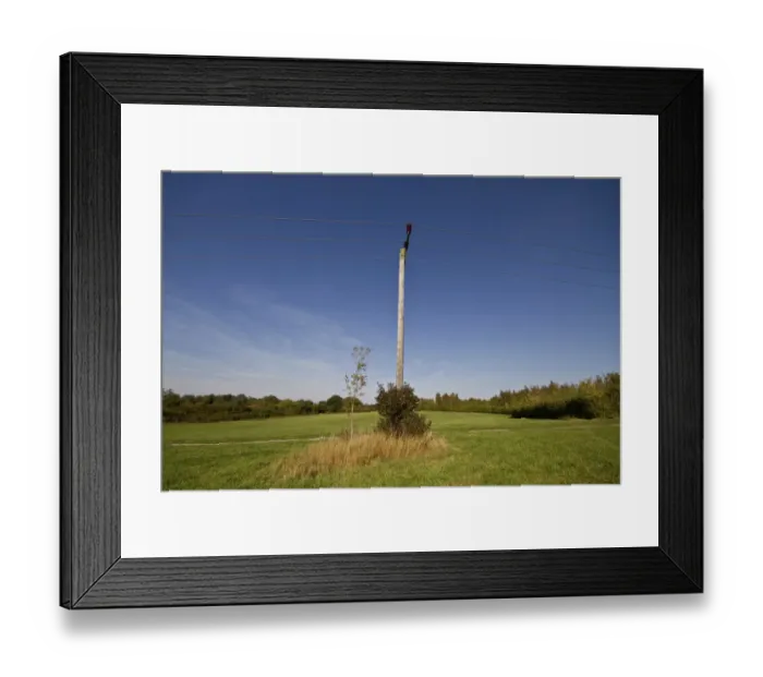 Framed Print : Small little wild habitats grow up round the base of pylon poles. Pound Farm meadows suffolk Framed Print : Small little wild habitats grow up round the base of pylon poles. Pound Farm meadows suffolk