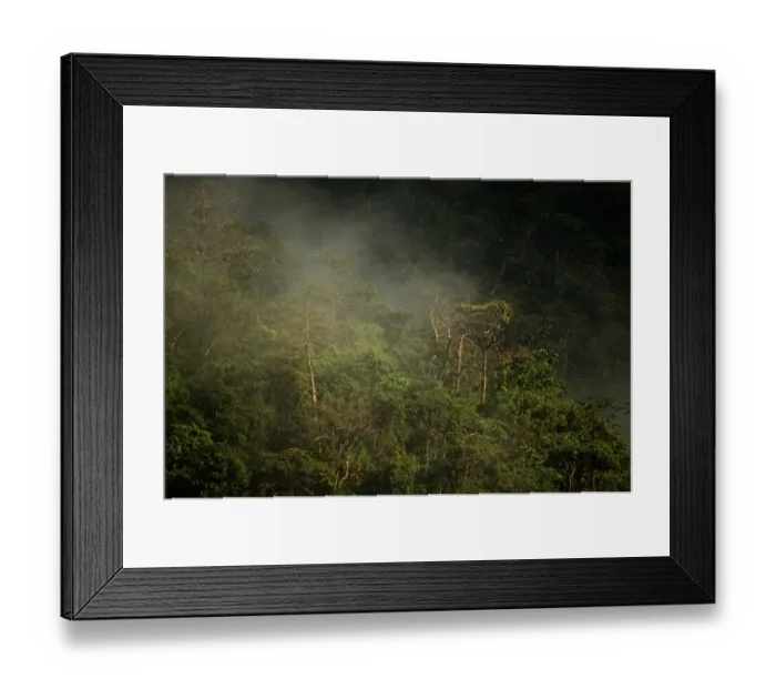 Framed Print : Steam rising from forest habitat, Puerto Princesa Subterranean River N. P. Saint Paul Mountain Range, Palawan Island Framed Print : Steam rising from forest habitat, Puerto Princesa Subterranean River N. P. Saint Paul Mountain Range, Palawan Island
