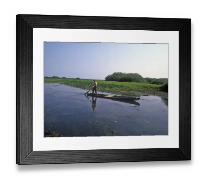 Framed Print : Poland Man on boat / Narew River / Biebrza Marshes Framed Print : Poland Man on boat / Narew River / Biebrza Marshes