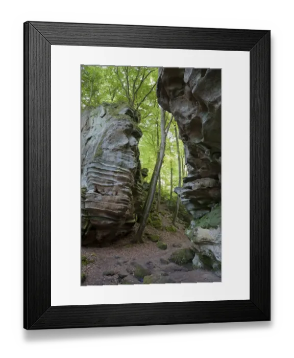 Framed Print : Rock formations in deciduous forest habitat, German Luxembourgian Nature Park, Rhineland-Palatinate, Germany, may Framed Print : Rock formations in deciduous forest habitat, German Luxembourgian Nature Park, Rhineland-Palatinate, Germany, may