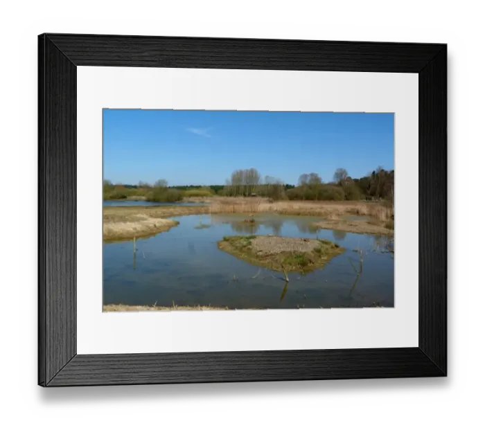 Framed Print : Looking north from Reed Hide at Lackford Lakes a Suffolk Wildlife Trust Reserve Framed Print : Looking north from Reed Hide at Lackford Lakes a Suffolk Wildlife Trust Reserve