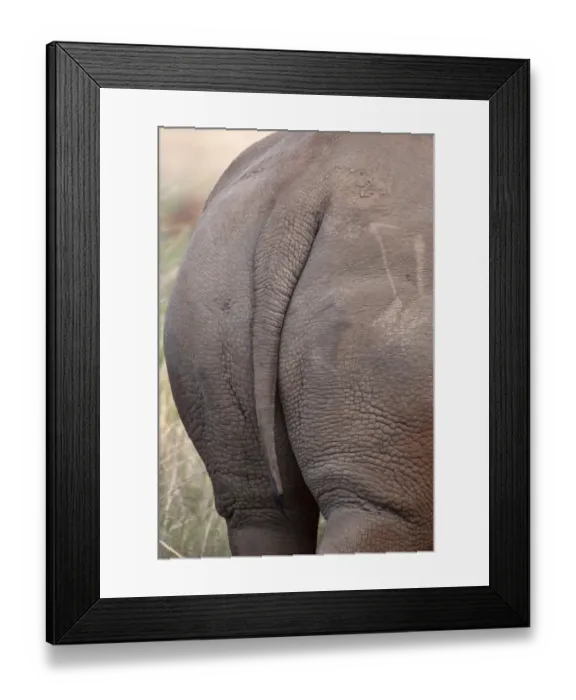 Framed Print : White Rhino tail. Rietvlei Nature Reserve, South Africa Framed Print : White Rhino tail. Rietvlei Nature Reserve, South Africa