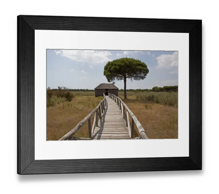 Framed Print : Board walk to one of many hides found in the Coto Donana National Park, Spain Framed Print : Board walk to one of many hides found in the Coto Donana National Park, Spain