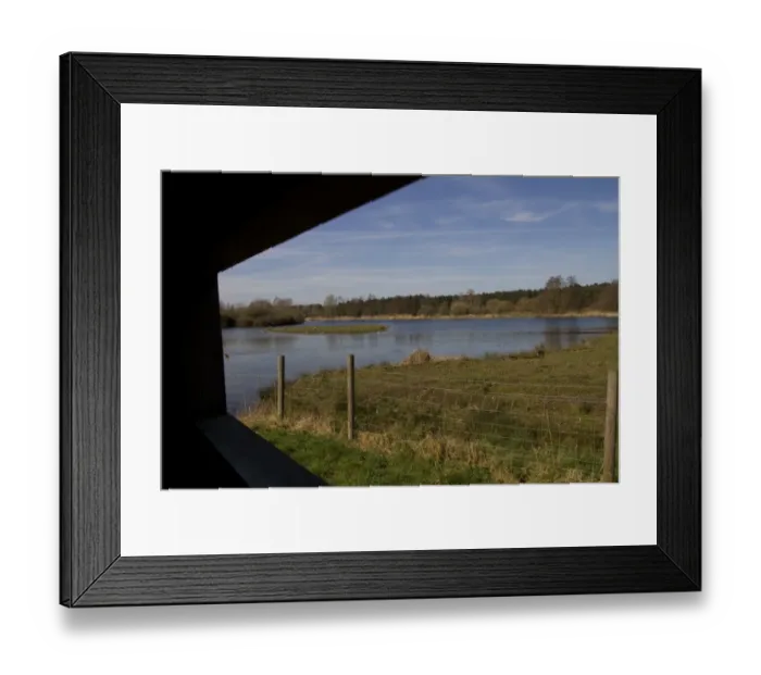 Framed Print : Looking North East from the Steggall Hide at Lackford Lakes Nature Reserve, Suffolk Framed Print : Looking North East from the Steggall Hide at Lackford Lakes Nature Reserve, Suffolk