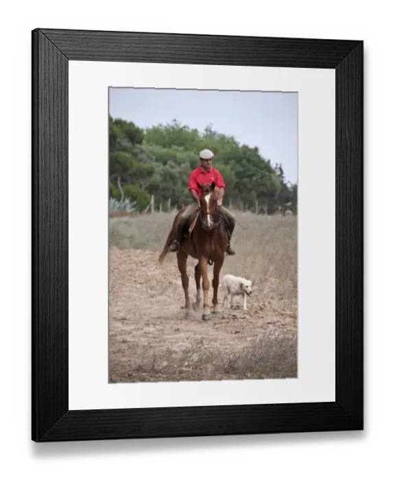 Framed Print : Javier Hidlago riding his race horse with a labrador at sanlucar, Spain Framed Print : Javier Hidlago riding his race horse with a labrador at sanlucar, Spain