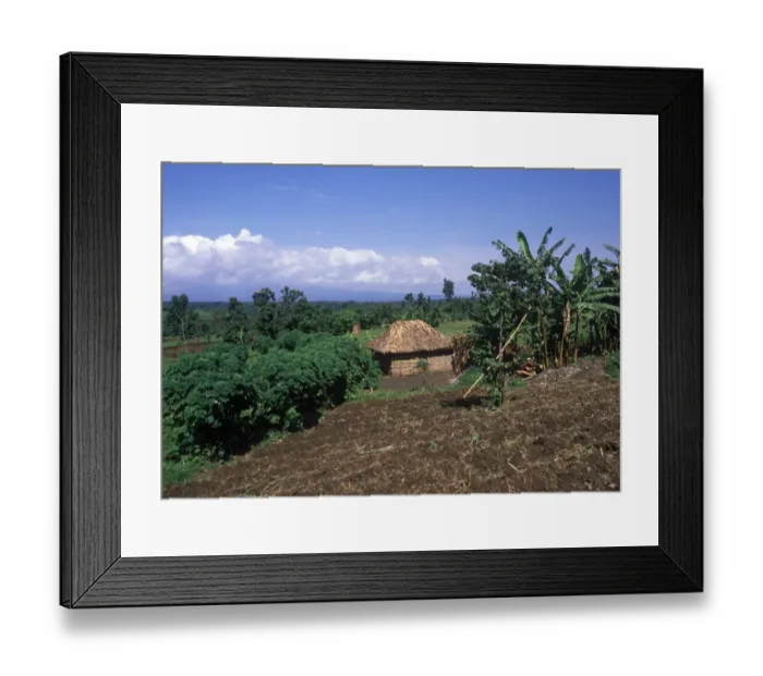 Framed Print : Farmland and farmers hut bordering the parc des virunga, Congo Framed Print : Farmland and farmers hut bordering the parc des virunga, Congo