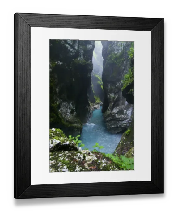 Framed Print : View of river gorge habitat with pristine water and high humidity levels, Tolminka River Gorge, Tolminka River Framed Print : View of river gorge habitat with pristine water and high humidity levels, Tolminka River Gorge, Tolminka River