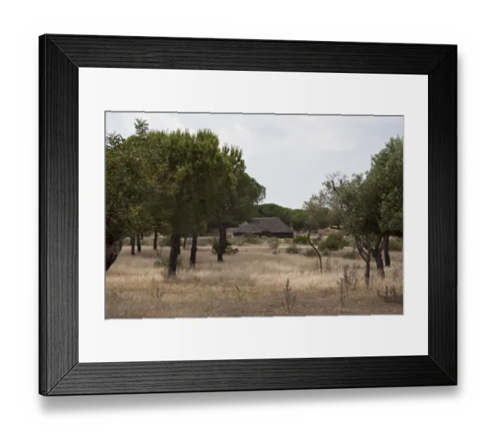 Framed Print : A traditional rush built building, Coto, Donana, Spain