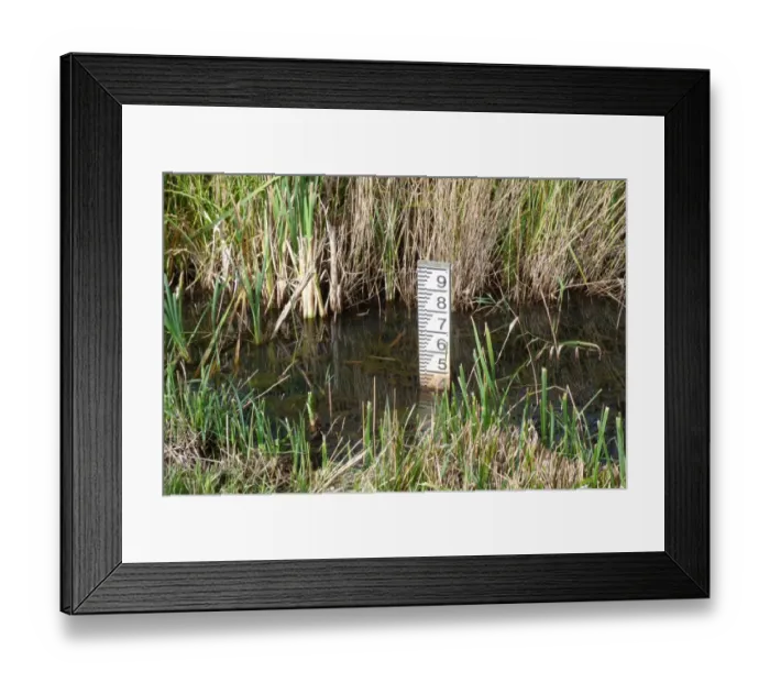 Framed Print : Water depth gauge in marsh RSPB Minsmere Suffolk Framed Print : Water depth gauge in marsh RSPB Minsmere Suffolk