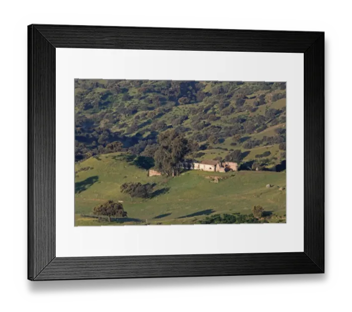 Framed Print : View of ruined building in dehesa habitat, Sierra de Andujar, Jaen, Andalucia, Spain, march Framed Print : View of ruined building in dehesa habitat, Sierra de Andujar, Jaen, Andalucia, Spain, march