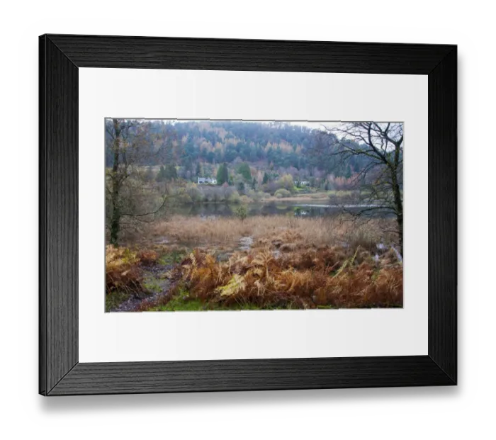 Framed Print : View of lake habitat, Lower Lake, Wicklow Way Walking Route, Glendalough Valley, Wicklow Mountains N. P Framed Print : View of lake habitat, Lower Lake, Wicklow Way Walking Route, Glendalough Valley, Wicklow Mountains N. P