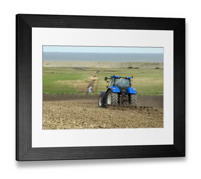 Framed Print : Tractor tilling soil in coastal arable farmland, with grazing marsh and sea in background, Salthouse, Norfolk, England Framed Print : Tractor tilling soil in coastal arable farmland, with grazing marsh and sea in background, Salthouse, Norfolk, England