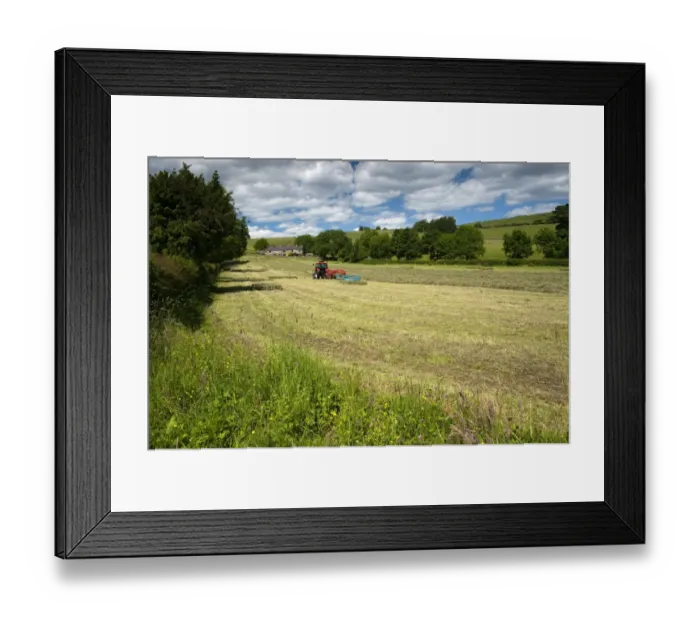 Framed Print : Zetor Proxima 75 tractor with flat eight bale system, baling in traditional hay meadow Framed Print : Zetor Proxima 75 tractor with flat eight bale system, baling in traditional hay meadow