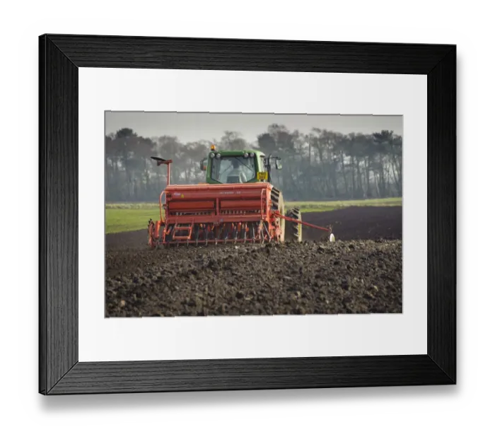 Framed Print : Tractor with seed drill, drilling Westminster spring barley, Pilling, Lancashire, England, march Framed Print : Tractor with seed drill, drilling Westminster spring barley, Pilling, Lancashire, England, march