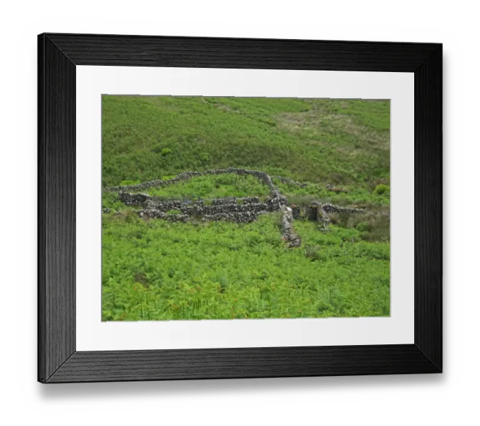Framed Print : Drystone sheepfold, Drumanee, Dumfries and Galloway, Scotland, june Framed Print : Drystone sheepfold, Drumanee, Dumfries and Galloway, Scotland, june
