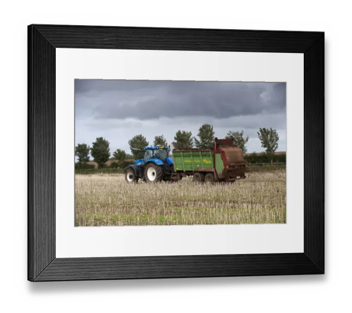 Framed Print : Tractor with muckspeader, spreading chicken manure on oilseed rape stubble field, Kelso, Scottish Borders, Scotland