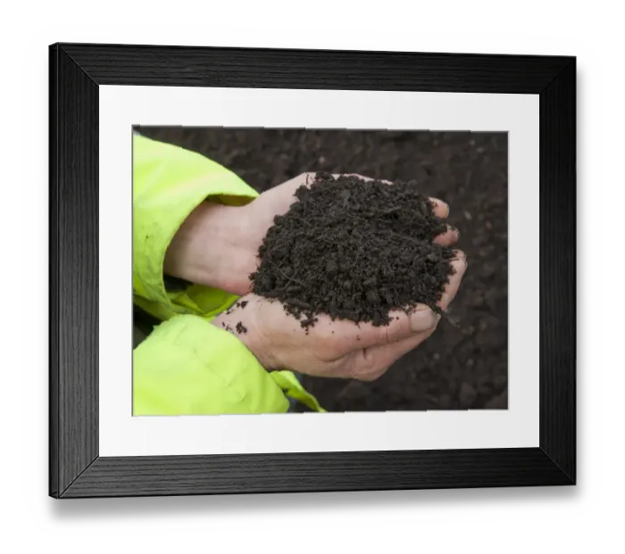 Framed Print : Close-up of hands holding green compost waste at municipal waste site, near Chester, Cheshire, England, march Framed Print : Close-up of hands holding green compost waste at municipal waste site, near Chester, Cheshire, England, march