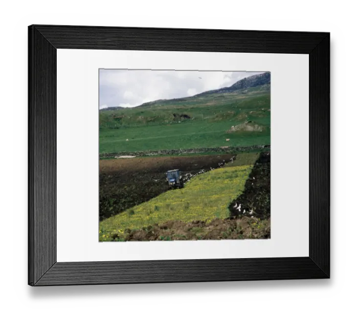 Framed Print : Farming - Ploughing Cultivating marginal hill land on Islay, Scotland
