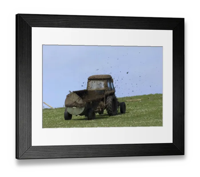 Framed Print : Tractor with muck spreader, spreading muck on grazing land, Fetlar, Shetland Islands, Scotland, june Framed Print : Tractor with muck spreader, spreading muck on grazing land, Fetlar, Shetland Islands, Scotland, june