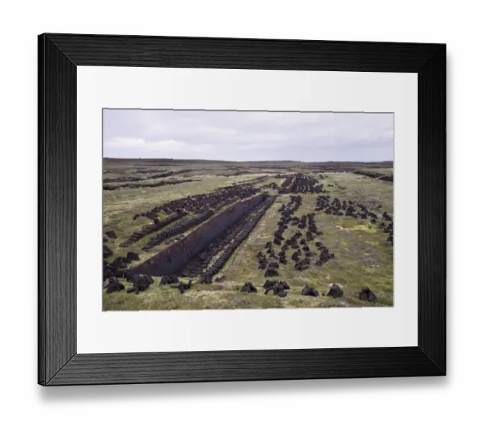 Framed Print : Peat cuttings, seam cut through peat, Mainland, Shetland Islands, Scotland, june Framed Print : Peat cuttings, seam cut through peat, Mainland, Shetland Islands, Scotland, june