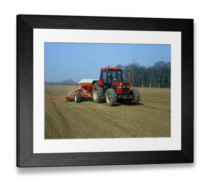 Framed Print : Farming - Sowing Drilling linseed seeds / early April Framed Print : Farming - Sowing Drilling linseed seeds / early April