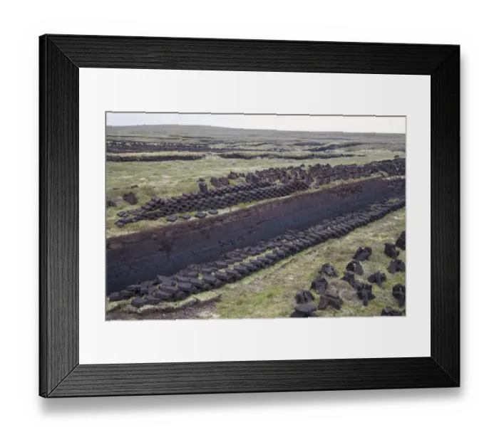 Framed Print : Peat cuttings, seam cut through peat, Mainland, Shetland Islands, Scotland, june