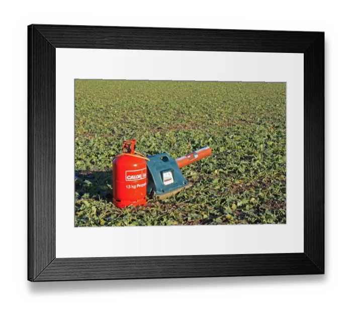 Framed Print : Gas-gun, gas powered bird scarer in Oilseed Rape (Brassica napus) crop, Thornham Magna, Suffolk, England, january Framed Print : Gas-gun, gas powered bird scarer in Oilseed Rape (Brassica napus) crop, Thornham Magna, Suffolk, England, january