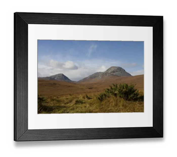 Framed Print : The paps of Jura with gorse bush in forground Framed Print : The paps of Jura with gorse bush in forground