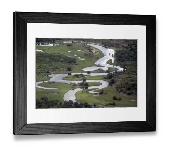 Framed Print : Aerial view of wetland habitat with channel, Kwando, Linyanti, Botswana - note the two elephants Framed Print : Aerial view of wetland habitat with channel, Kwando, Linyanti, Botswana - note the two elephants