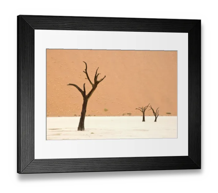 Framed Print : Dead trees in desert clay pan, Deadvlei, Namib-Naukluft N. P. Namib Desert, Namibia Framed Print : Dead trees in desert clay pan, Deadvlei, Namib-Naukluft N. P. Namib Desert, Namibia