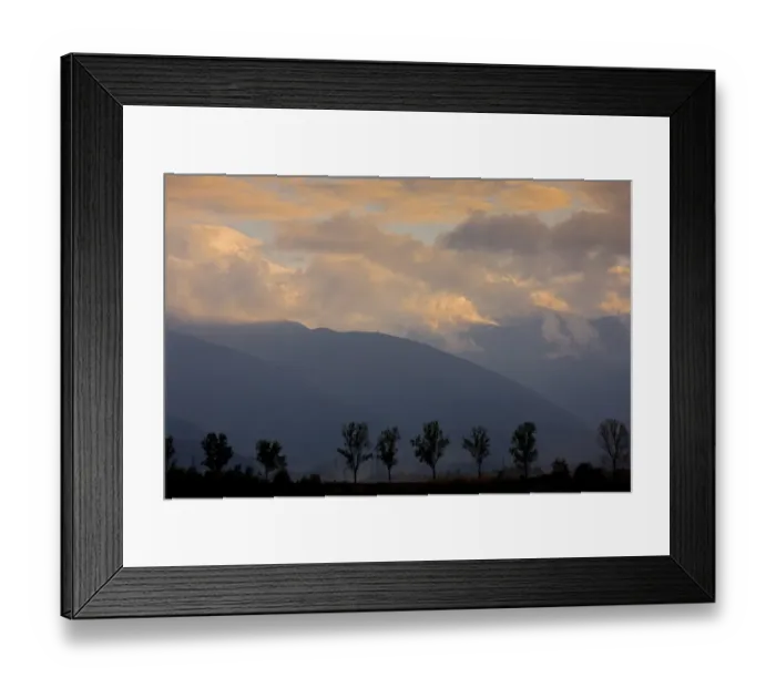 Framed Print : View of mountains with poplar trees in foreground at dusk, Moldoveanu Peak (2544 metres), Fagaras Mountains Framed Print : View of mountains with poplar trees in foreground at dusk, Moldoveanu Peak (2544 metres), Fagaras Mountains