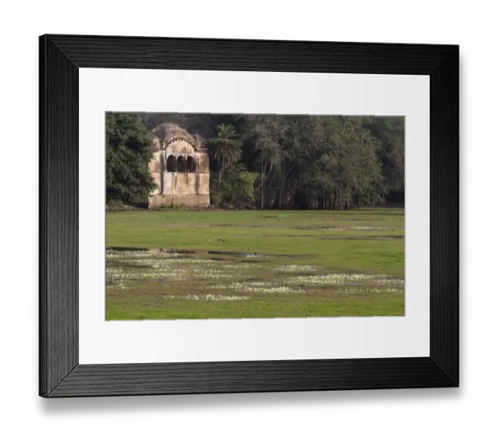 Framed Print : View of lake habitat and fortress ruin, Ranthambore N. P. Rajasthan, India Framed Print : View of lake habitat and fortress ruin, Ranthambore N. P. Rajasthan, India