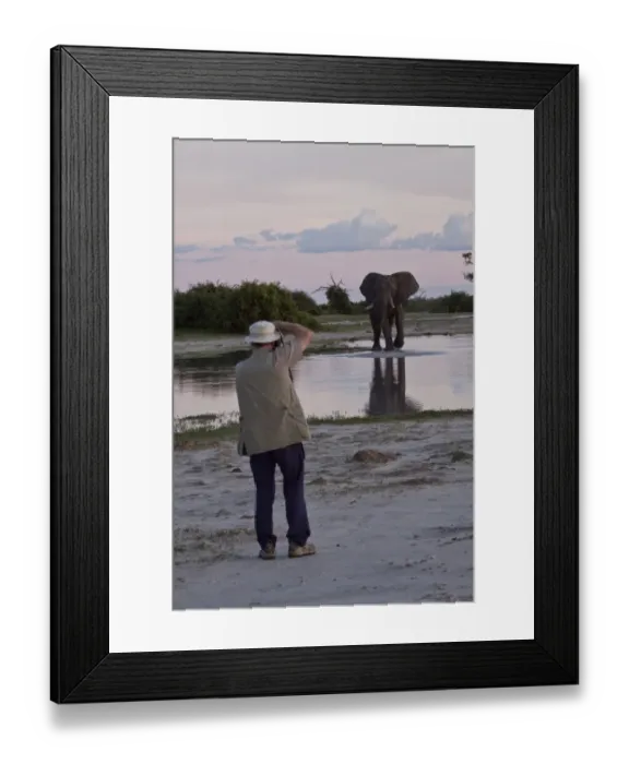 Framed Print : Photographing an African Elephant and a Botswana waterhole Framed Print : Photographing an African Elephant and a Botswana waterhole