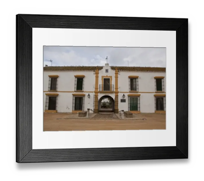 Framed Print : The Palacio de Donana - Coto Donana Spain