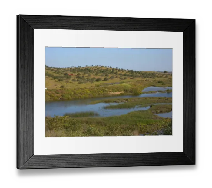 Framed Print : View over marsh habitat to Carob (Ceratonia siliqua) trees on hillside, Castro Marim Marshes, Algarve, Portugal, april Framed Print : View over marsh habitat to Carob (Ceratonia siliqua) trees on hillside, Castro Marim Marshes, Algarve, Portugal, april