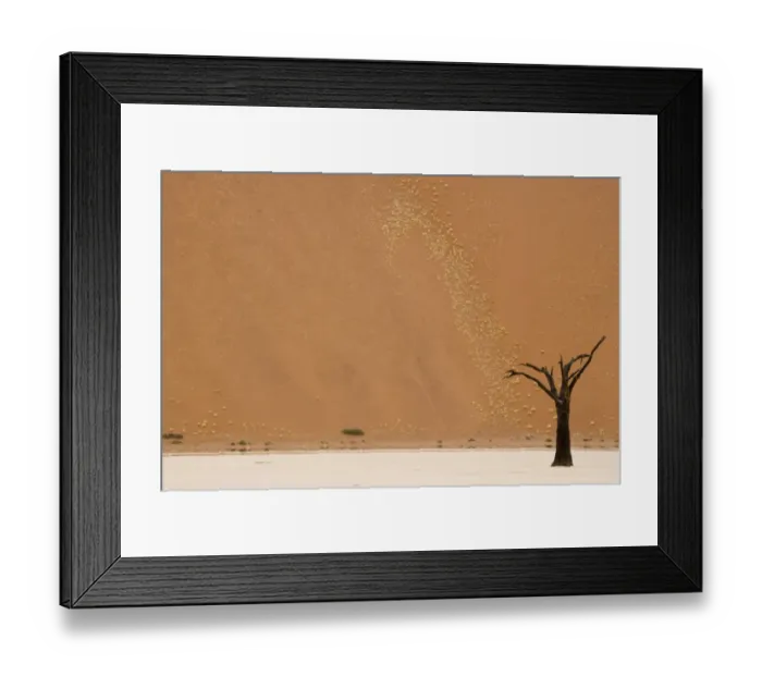 Framed Print : Dead tree and mirage in desert clay pan, Deadvlei, Namib-Naukluft N. P. Namib Desert, Namibia Framed Print : Dead tree and mirage in desert clay pan, Deadvlei, Namib-Naukluft N. P. Namib Desert, Namibia