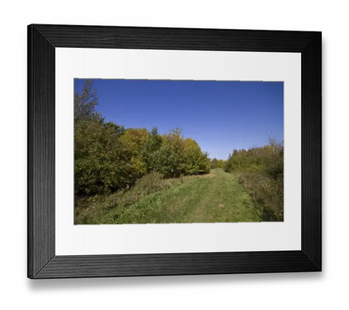 Framed Print : Pound farm is 148 areas of woodland and meadow that was planted with a mix of native british trees in 1992